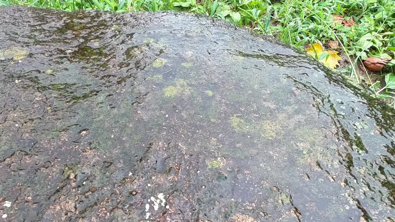 雨滴落在岩石上，慢动作视频素材