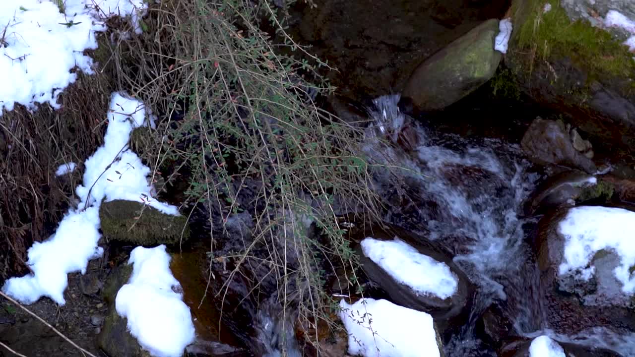 在印度喜马偕尔邦的马纳里，在冬天，溪水旁边的岩石被白色的雪覆盖。冬天的背景。在冬天，岩石旁流淌着小溪。视频素材