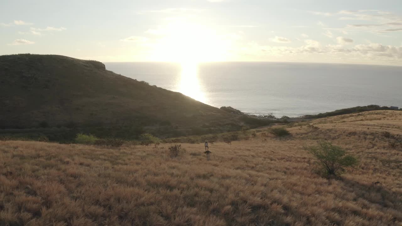 鸟瞰图的一个人与海洋在背景，圣保罗，留尼旺。视频素材