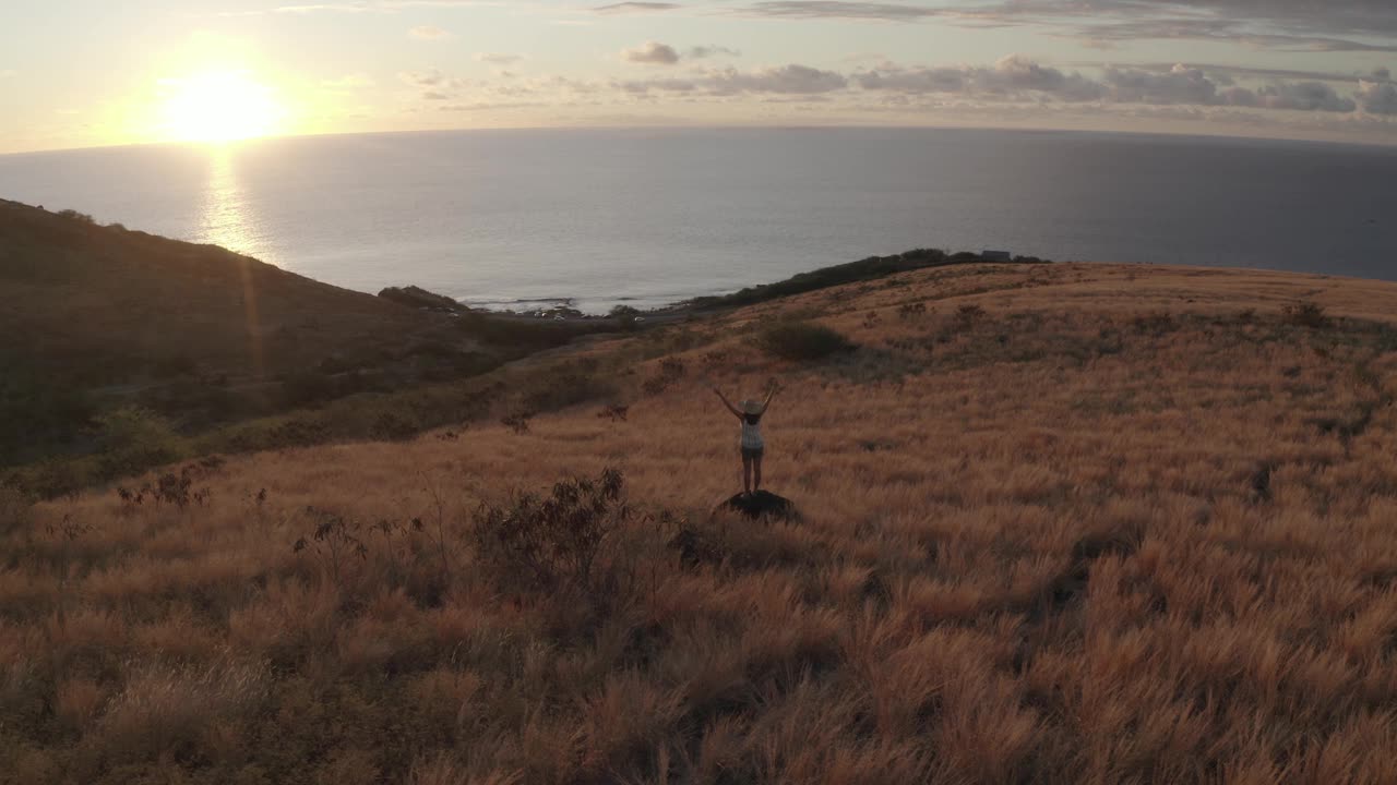 鸟瞰图的一个人与海洋在背景，圣保罗，留尼旺。视频素材