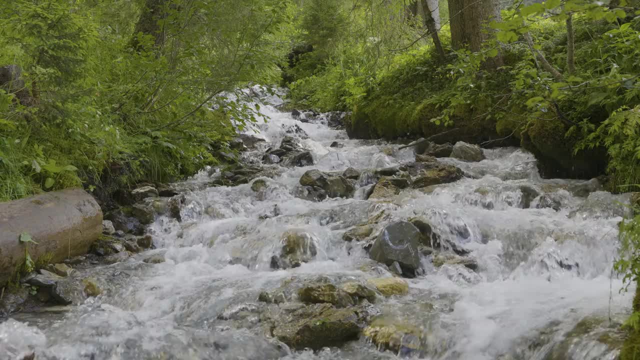 水在石头周围流动。罗森劳伊冰川峡谷附近山上的小溪。伯纳·奥伯兰，伯尔尼州视频素材