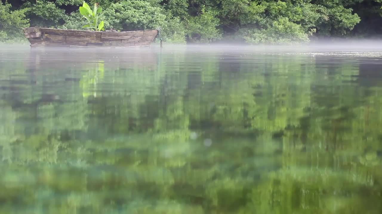 雾蒙蒙的湖面上有一艘古老的木船，里面长着一棵植物视频素材