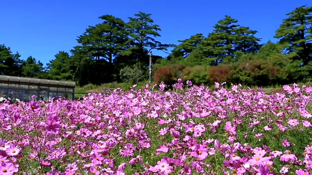 福寿山农场视频素材