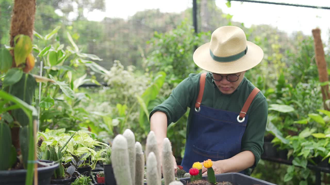 4K亚洲男人植物商店老板照顾植物和花卉在温室花园。视频素材