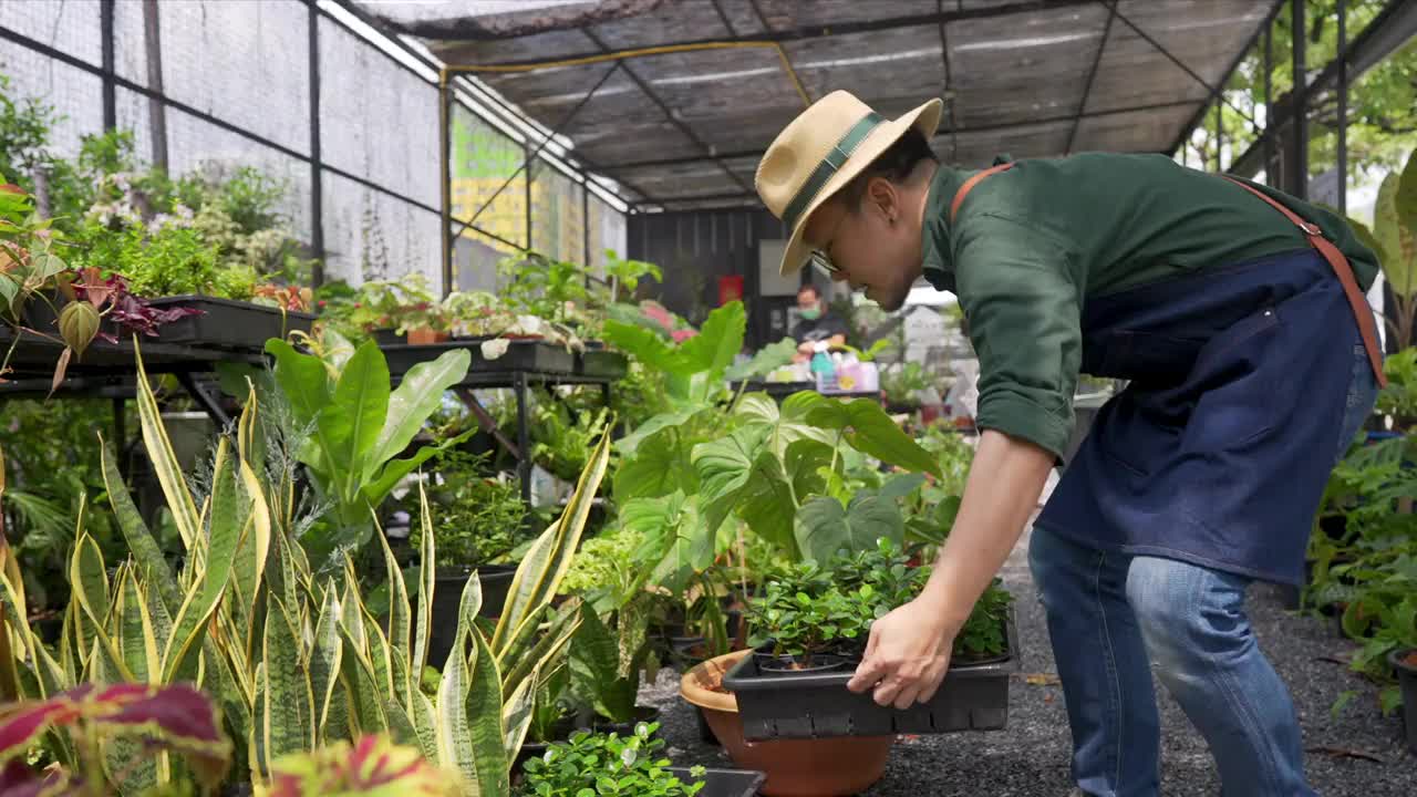 4K亚洲男人植物商店老板照顾植物和花卉在温室花园。视频素材