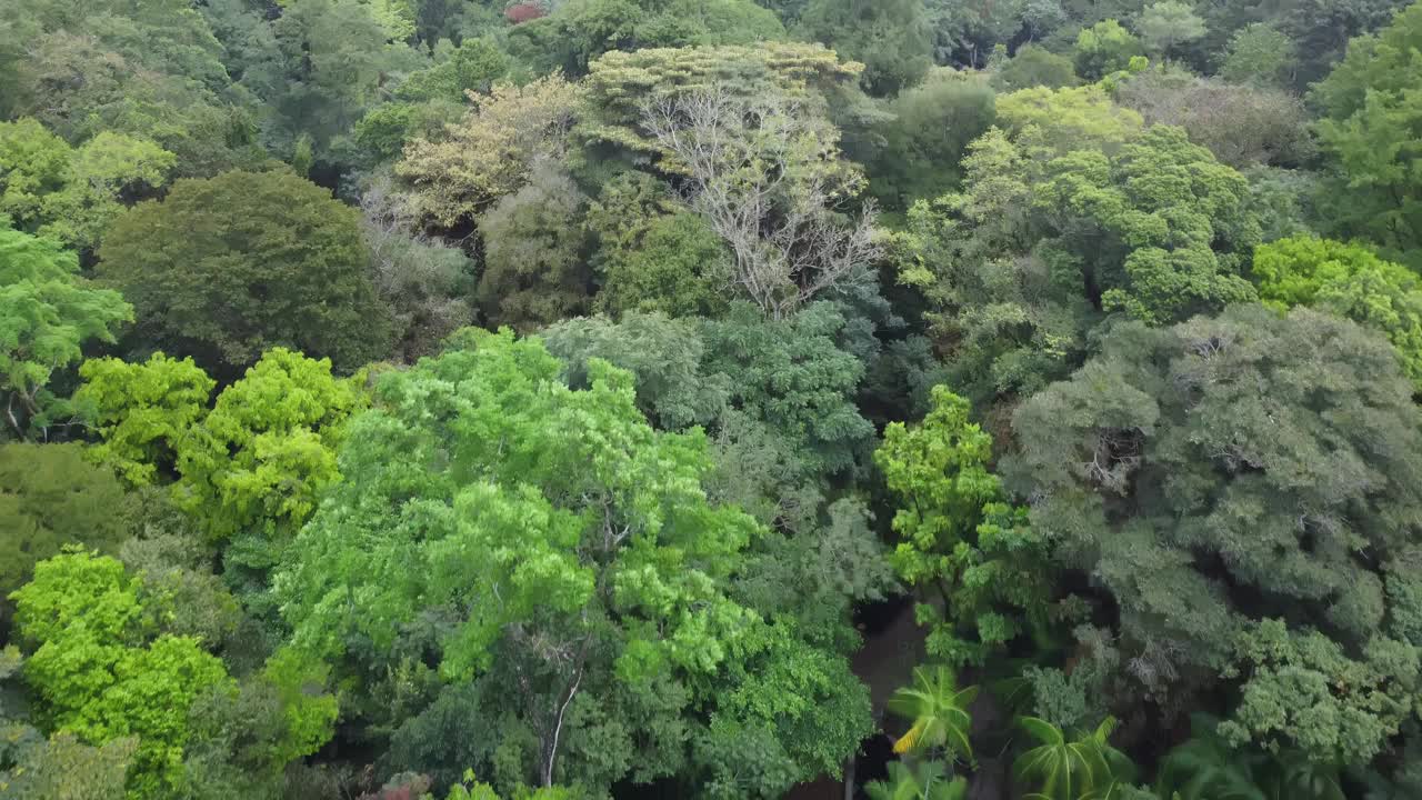 鸟瞰巴西北部城市贝伦多帕拉。视频素材