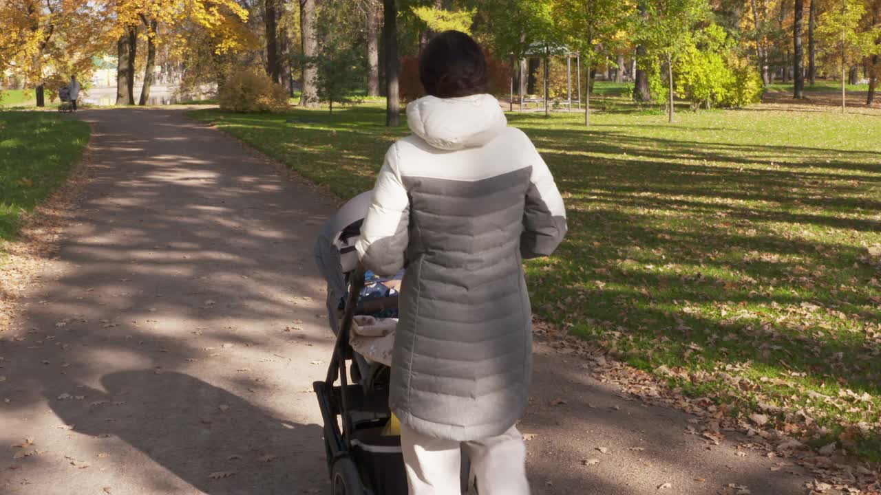 普希金的Tsarskoye Selo镇，母亲推着婴儿车在秋天的公园里散步。视频素材