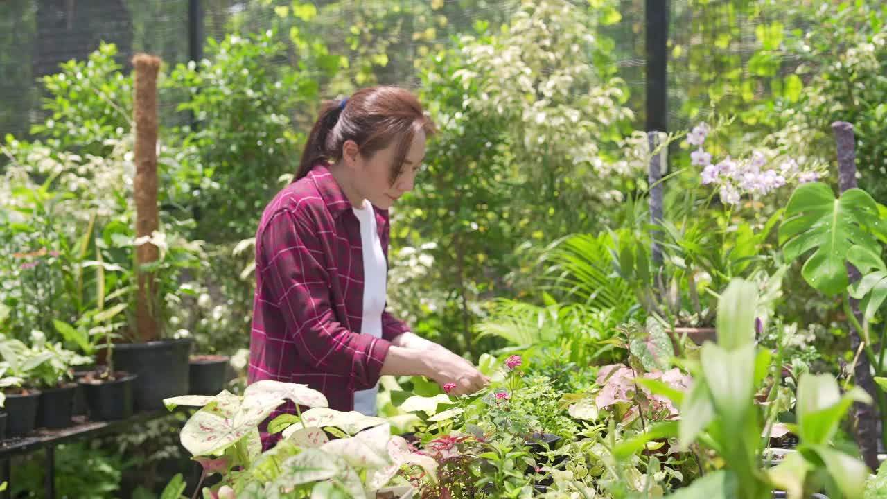 4K亚洲女植物商店老板在智能手机上直播盆栽为在线商店视频素材