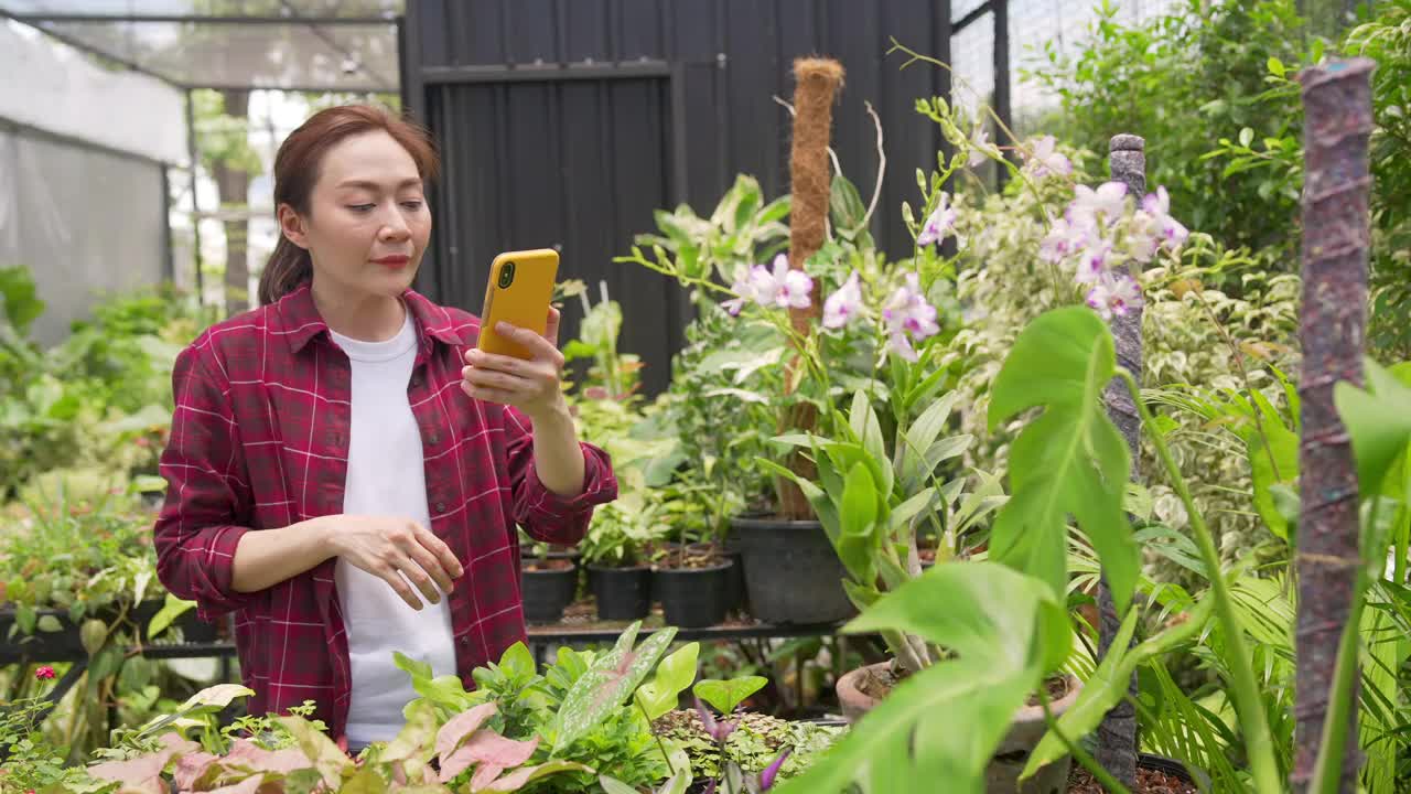 4K亚洲女植物商店老板在智能手机上直播盆栽为在线商店视频素材