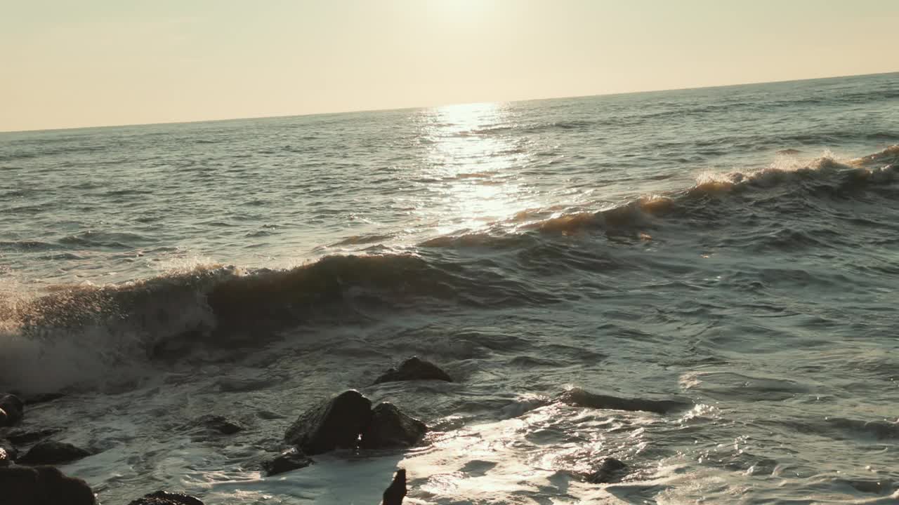 被漂流的树木污染的野生海滩，汹涌的海浪卷到泥泞的岸边。缓慢的运动。跟随拍摄。环境污染的概念视频素材