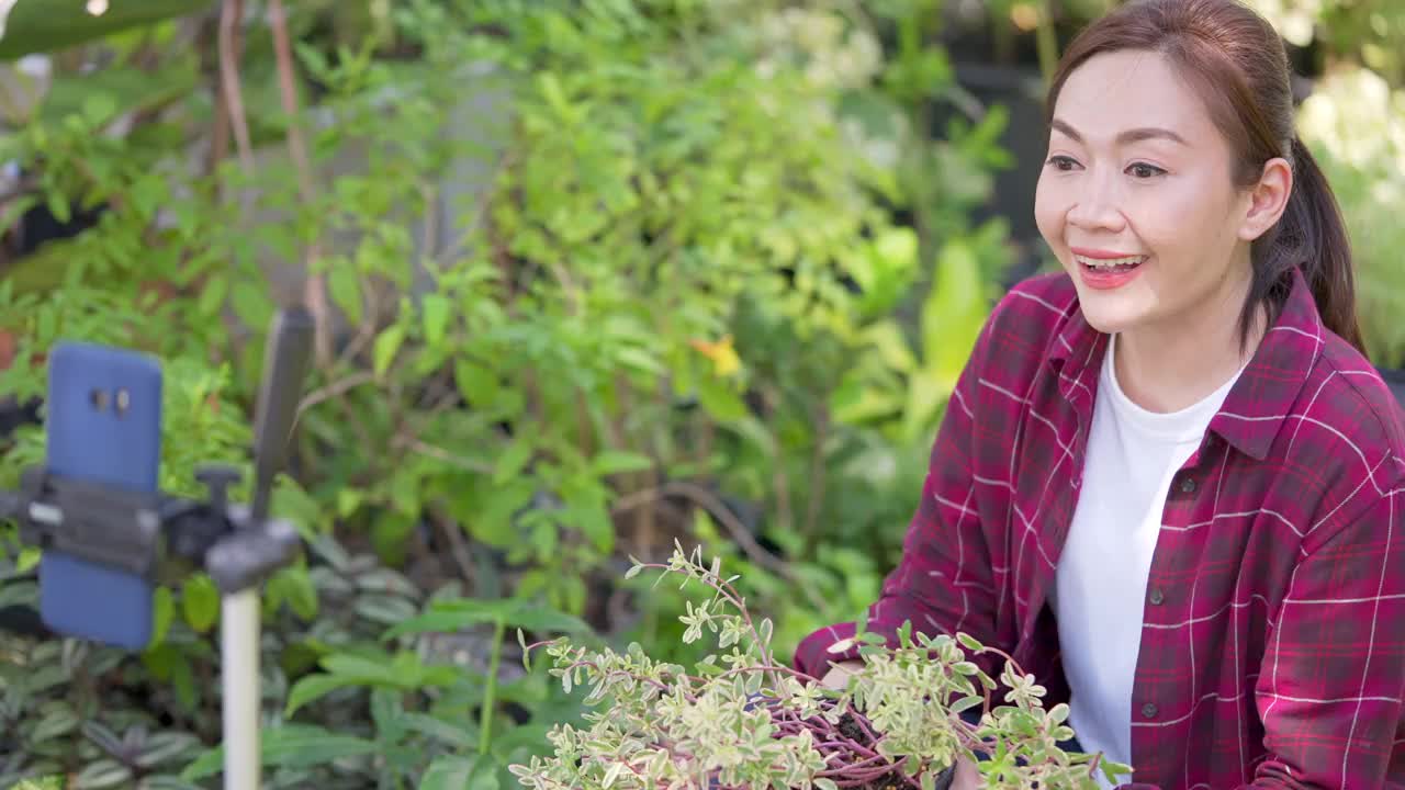 4K亚洲女植物商店老板在智能手机上直播盆栽为在线商店视频素材