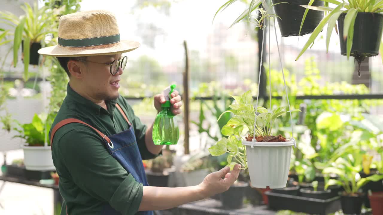 4K亚洲男人植物商店老板照顾植物和花卉在温室花园。视频素材