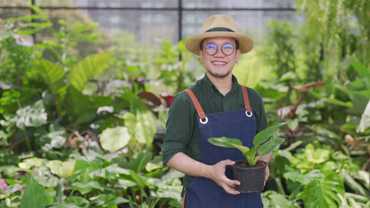 4K亚洲男人植物商店老板照顾植物和花卉在温室花园。视频素材