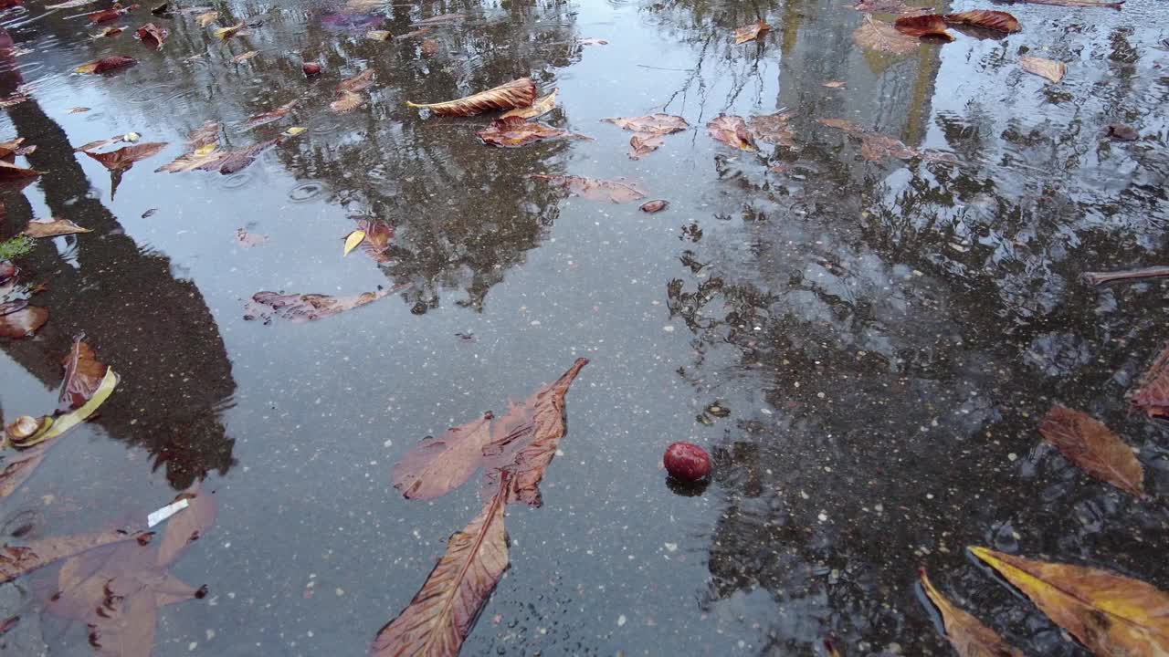 红靴子是进入水坑的大台阶。秋天水坑的特写镜头视频素材