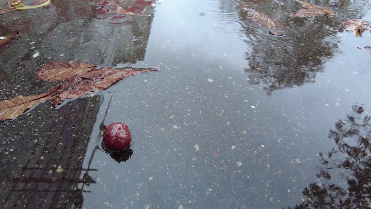 秋天，雨滴落在落叶的水坑里视频素材