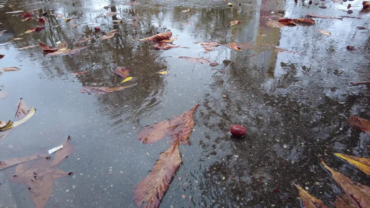 秋天，雨滴落在落叶的水坑里视频素材