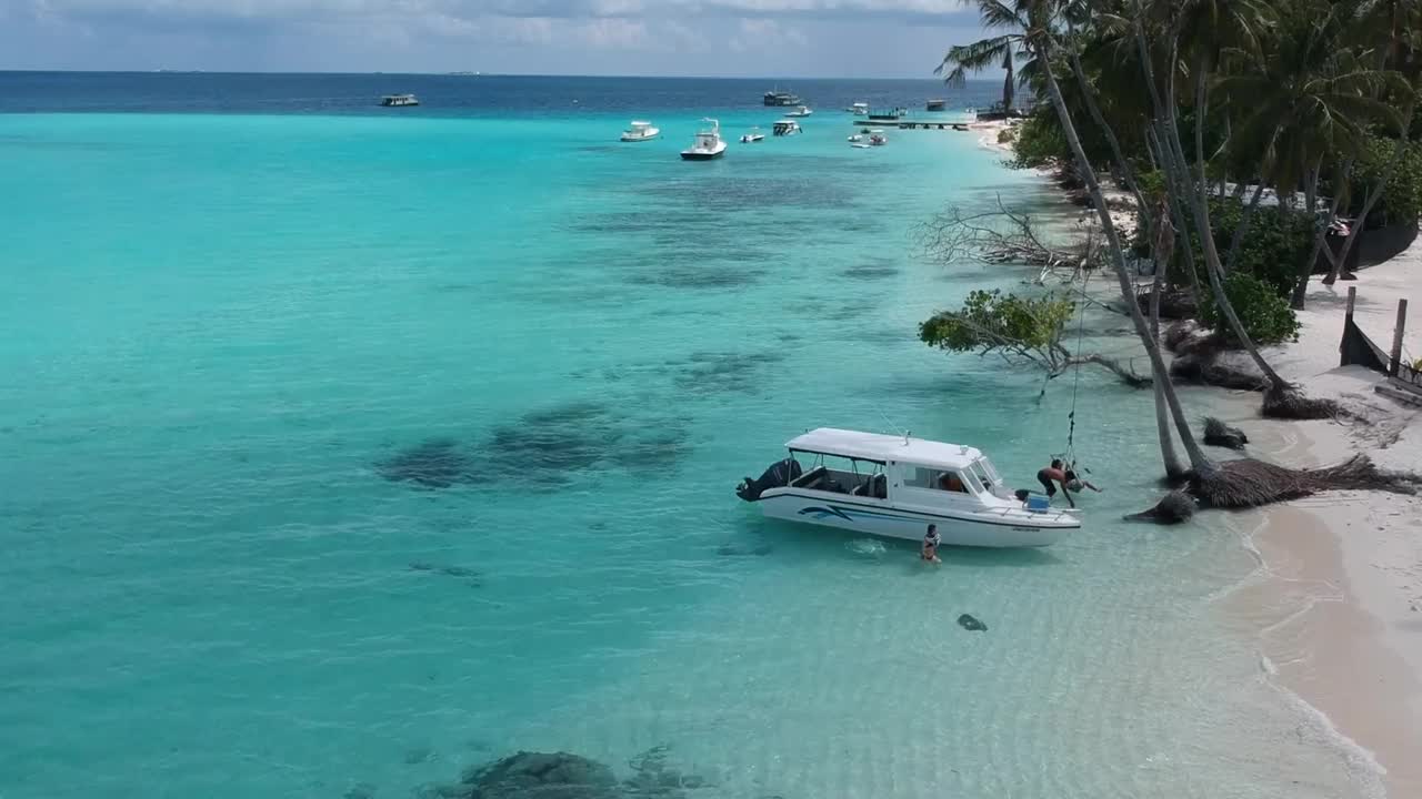 热带海滩的风景。美丽的海浪，绿色的棕榈树，蓝色的水和天空的马尔代夫视频下载