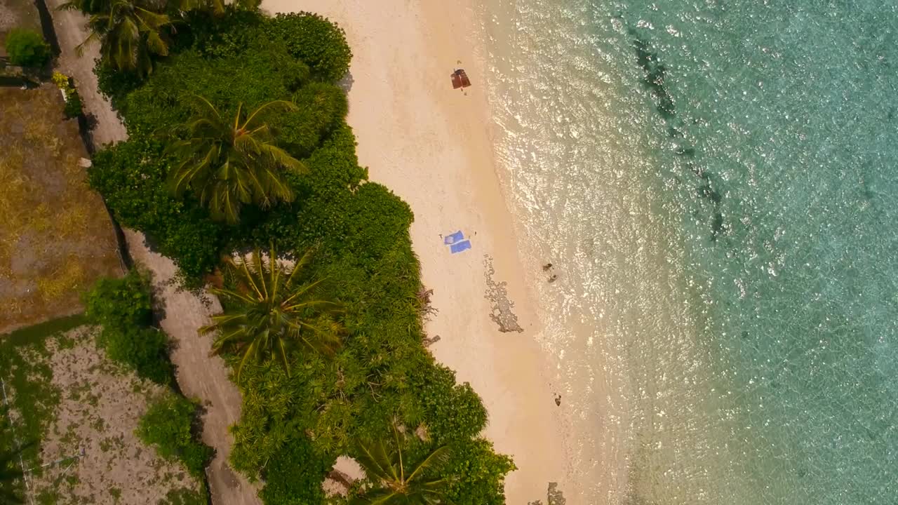 热带海滩的风景。美丽的海浪，绿色的棕榈树，蓝色的水和天空的马尔代夫视频素材