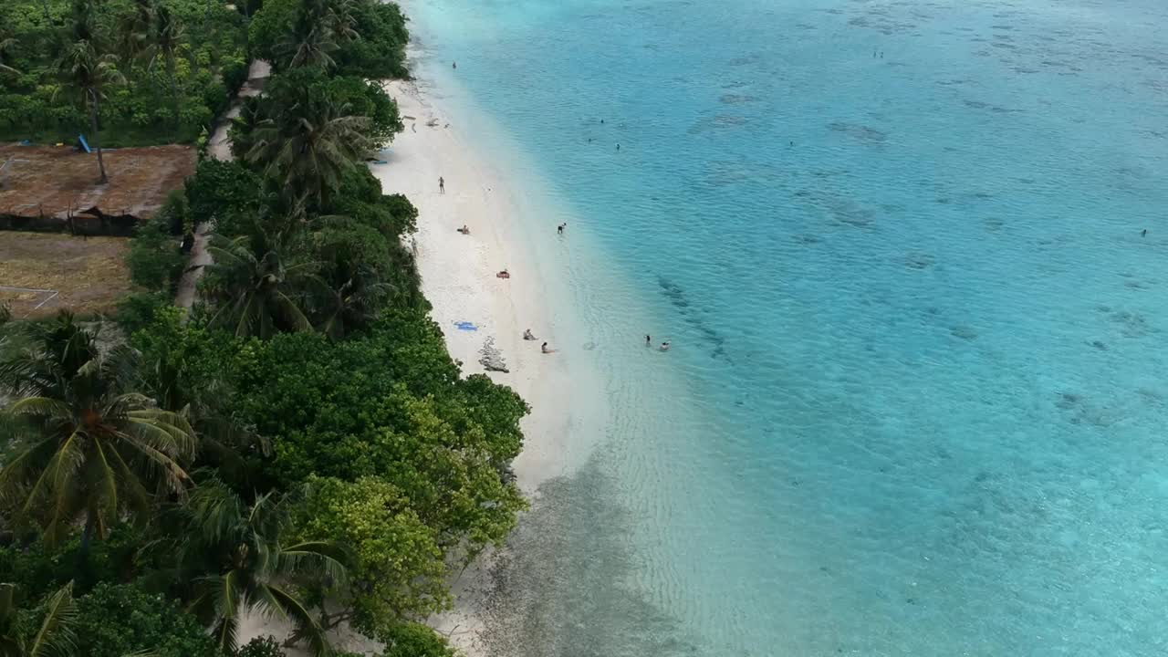 热带海滩的风景。美丽的海浪，绿色的棕榈树，蓝色的水和天空的马尔代夫视频下载