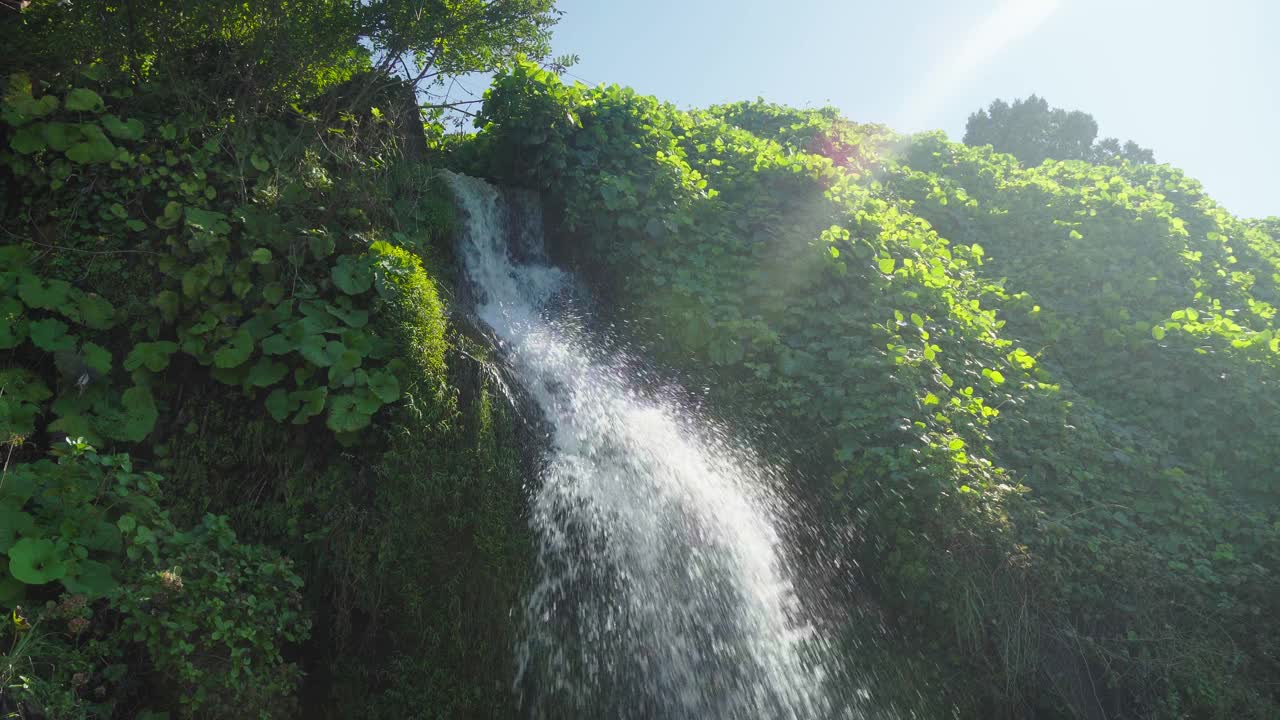 自然河流瀑布森林阳光早晨神奇视频素材