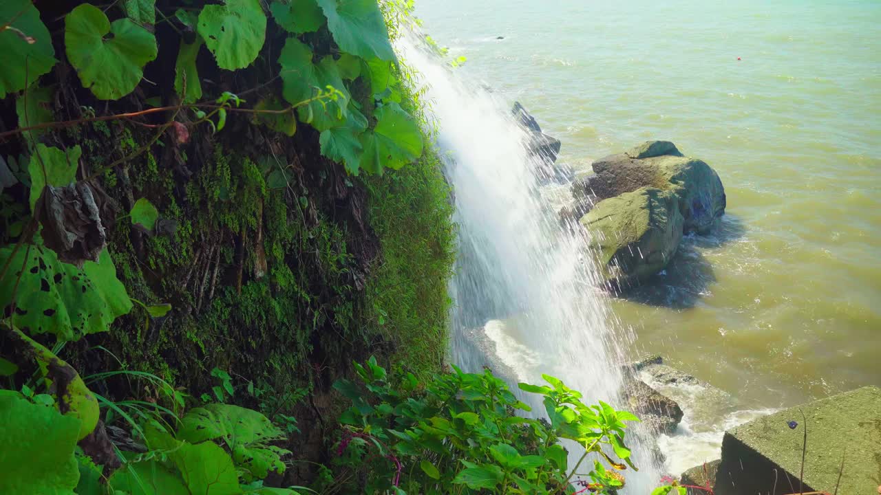 自然河流瀑布森林阳光早晨神奇视频素材