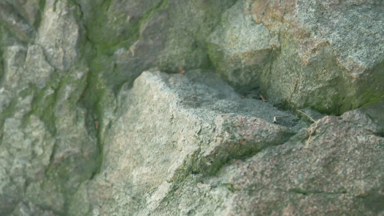 在采石场开采花岗岩。破碎花岗岩石头。有裂缝的坚硬岩石的特写镜头视频素材