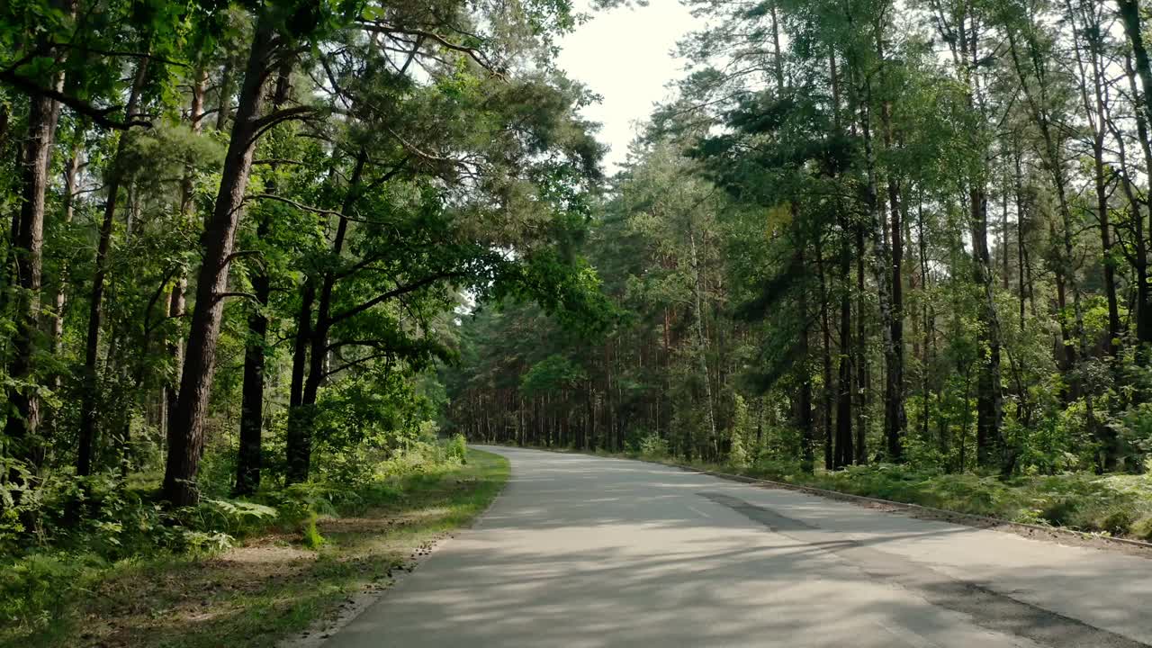 黑色的汽车行驶在穿过松林的路上。宽阔的视野futage视频素材