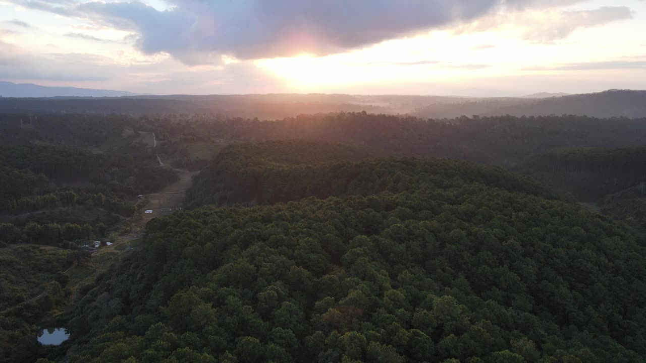 在雨季开始时，清晨日出时的4k松林和山脉视频素材