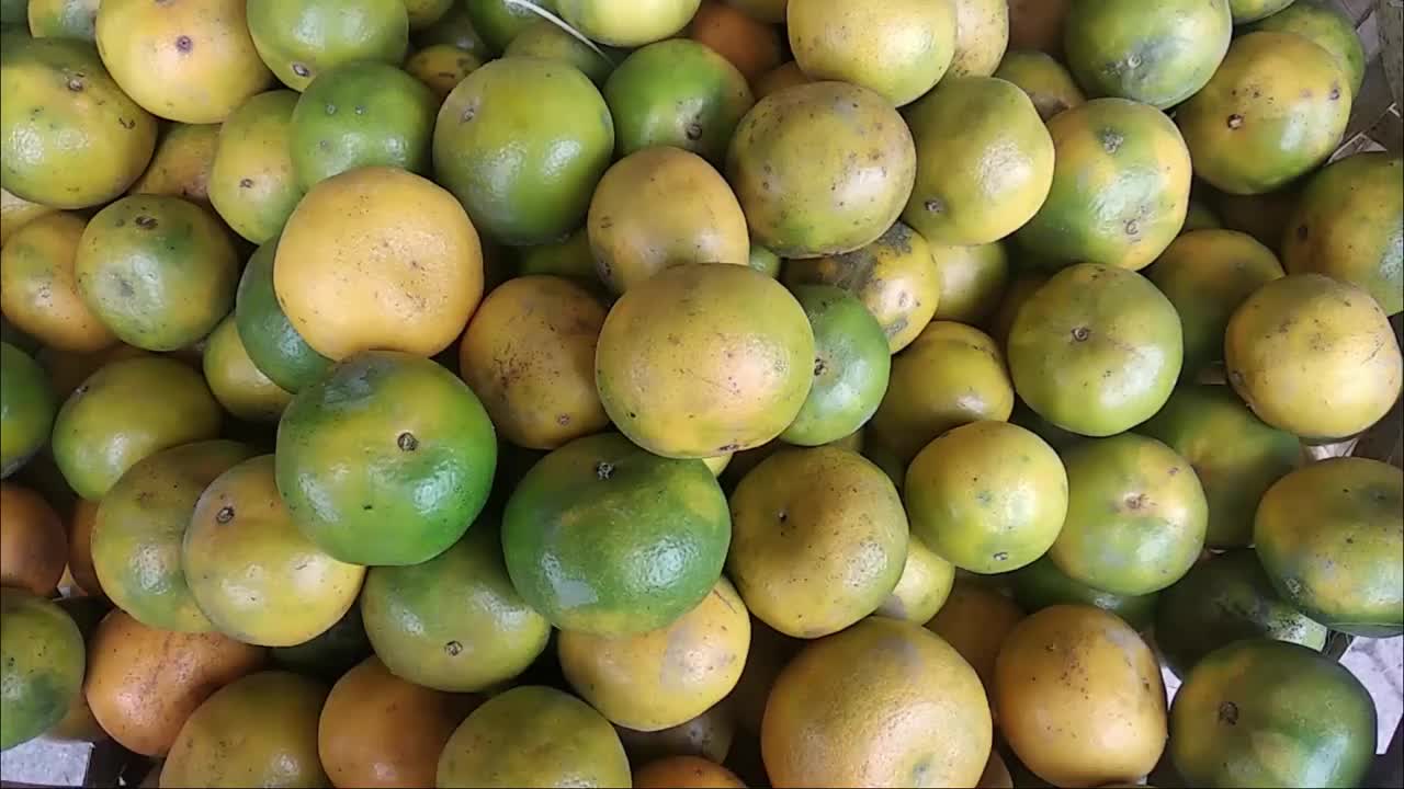 柑橘水果的高清视频。橘子或酸橙是开花植物，属于芸香科部落(橙-橙部落)的柑橘族。橙子是维生素c的来源。视频素材