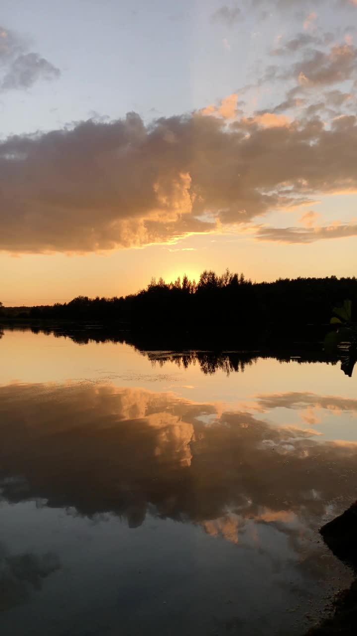 橘色日落森林湖夏夜景观视频素材