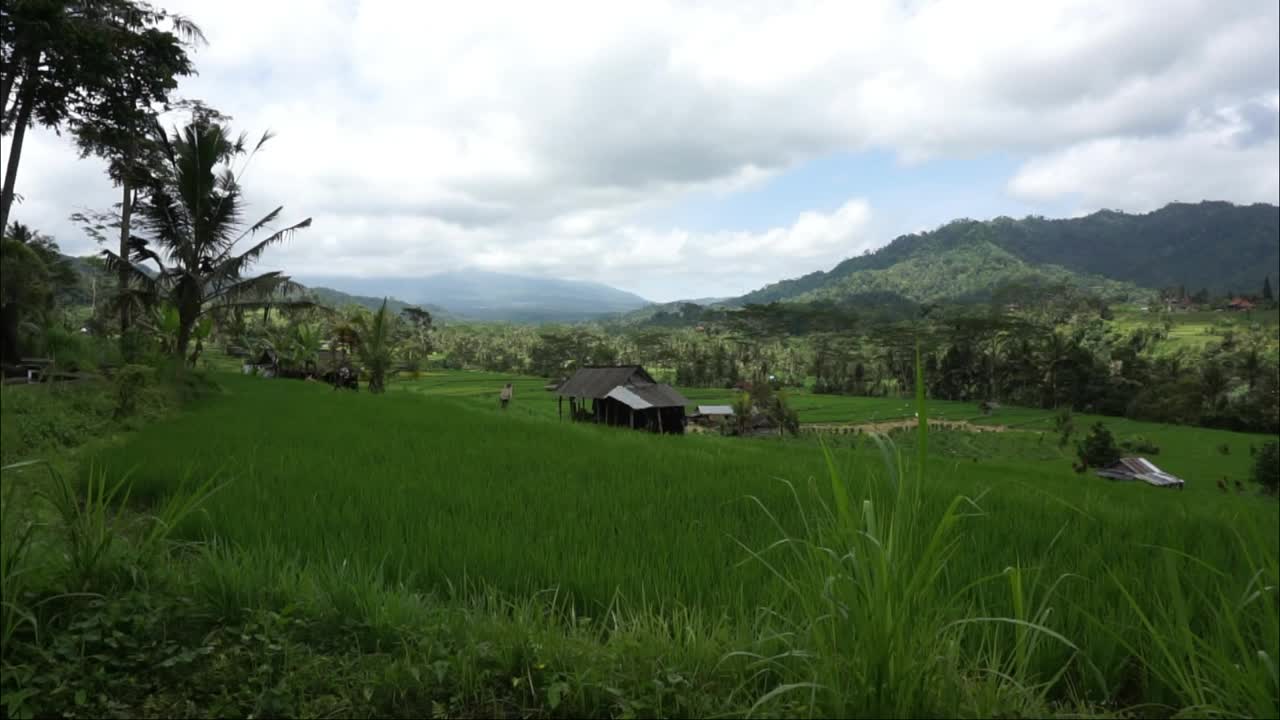 从别墅高清视频观看稻田和小山。
巴厘岛Karangasem偏远的塞德门的自然美景。巴厘岛风景视频。视频素材