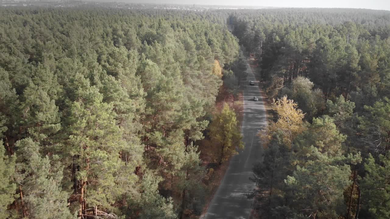 骑自行车的人在森林里骑自行车。自行车户外。铁人三项运动员在公路自行车上训练。铁人三项的概念。健身活动。高强度训练训练。健康的生活方式的概念视频素材