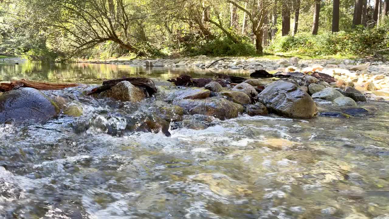 纯净而晶莹的水，在流经宁静森林的河流的岩石之间流动视频下载