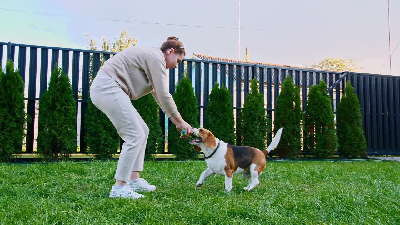 女孩在户外和他的小猎犬玩耍。他用他最喜欢的玩具爱抚和逗弄他的小狗。慢动作视频素材