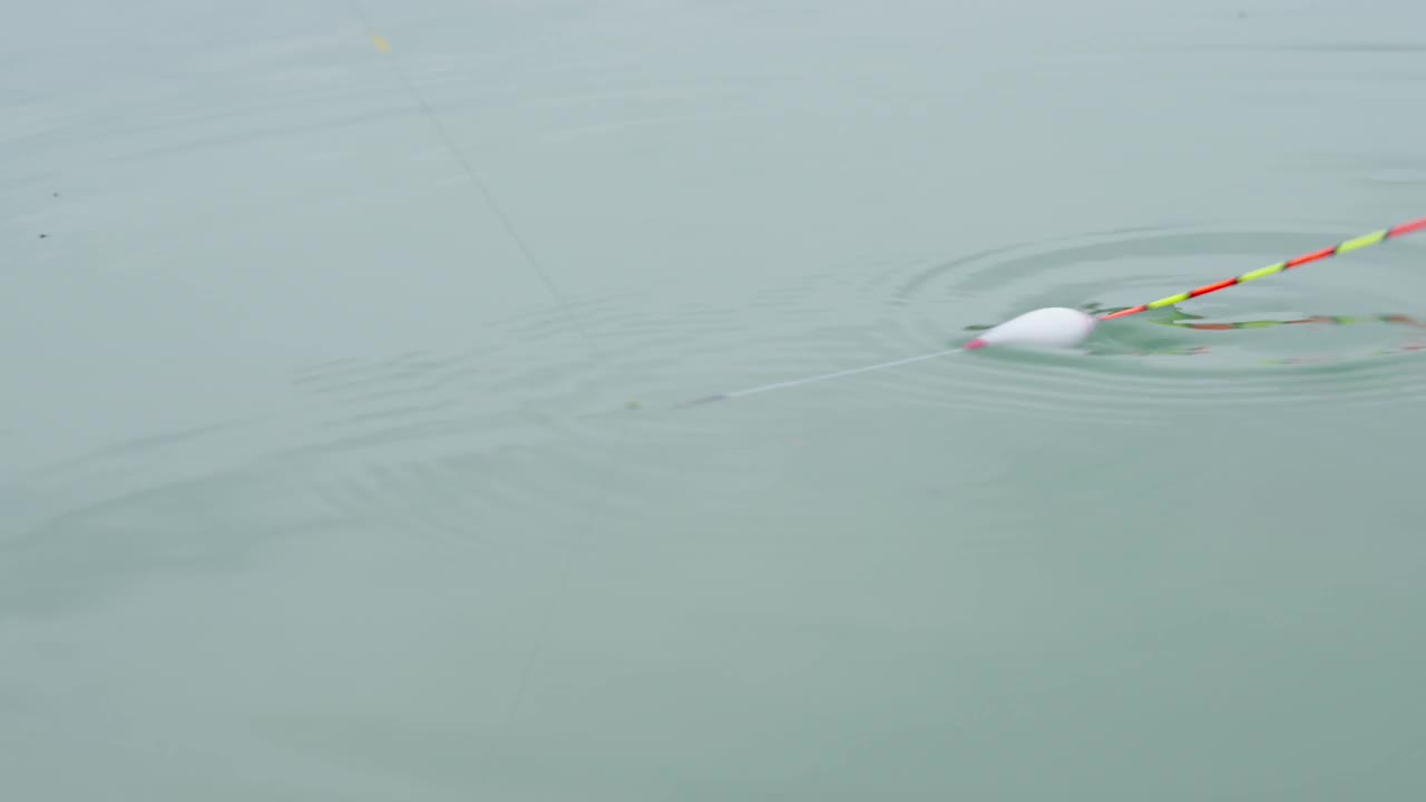 夏天钓鱼时，把鱼竿浮在水面视频素材