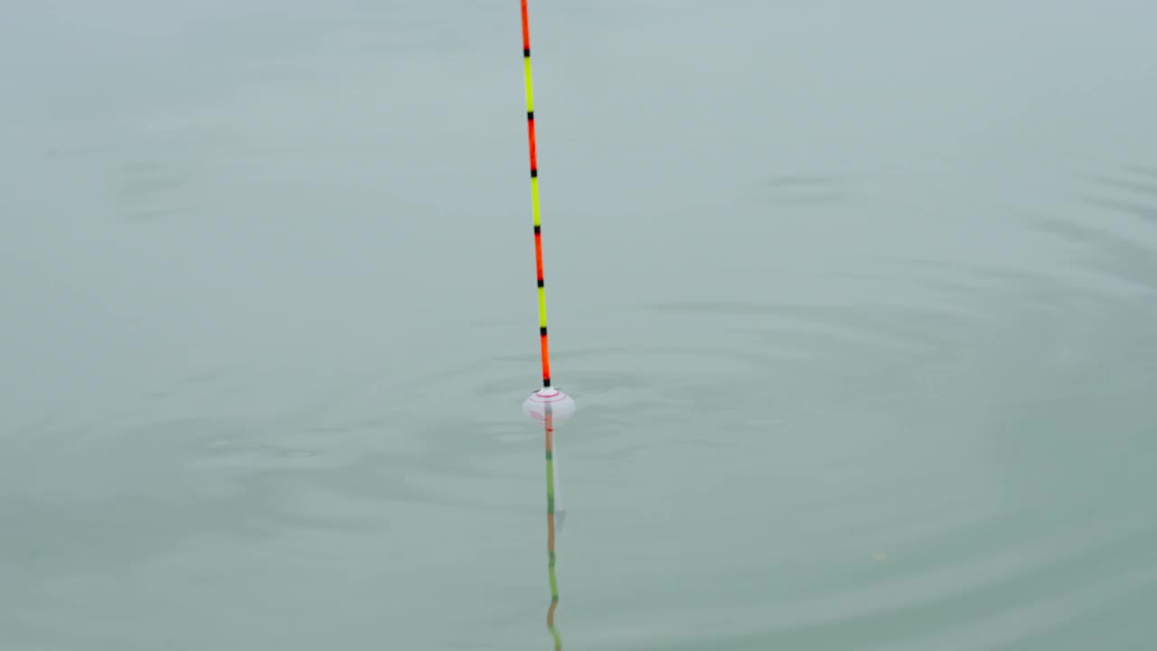 夏天钓鱼时，把鱼竿浮在水面视频素材