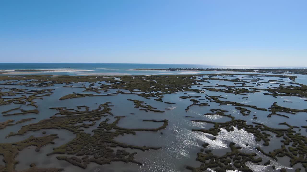 健康的沿海湿地视频素材