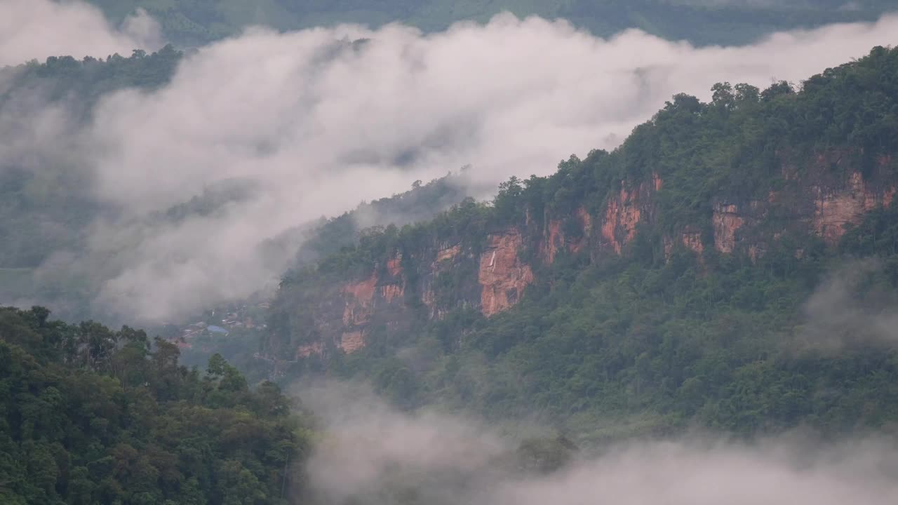 在雾天的绿化、雨林和丘陵景观视频素材