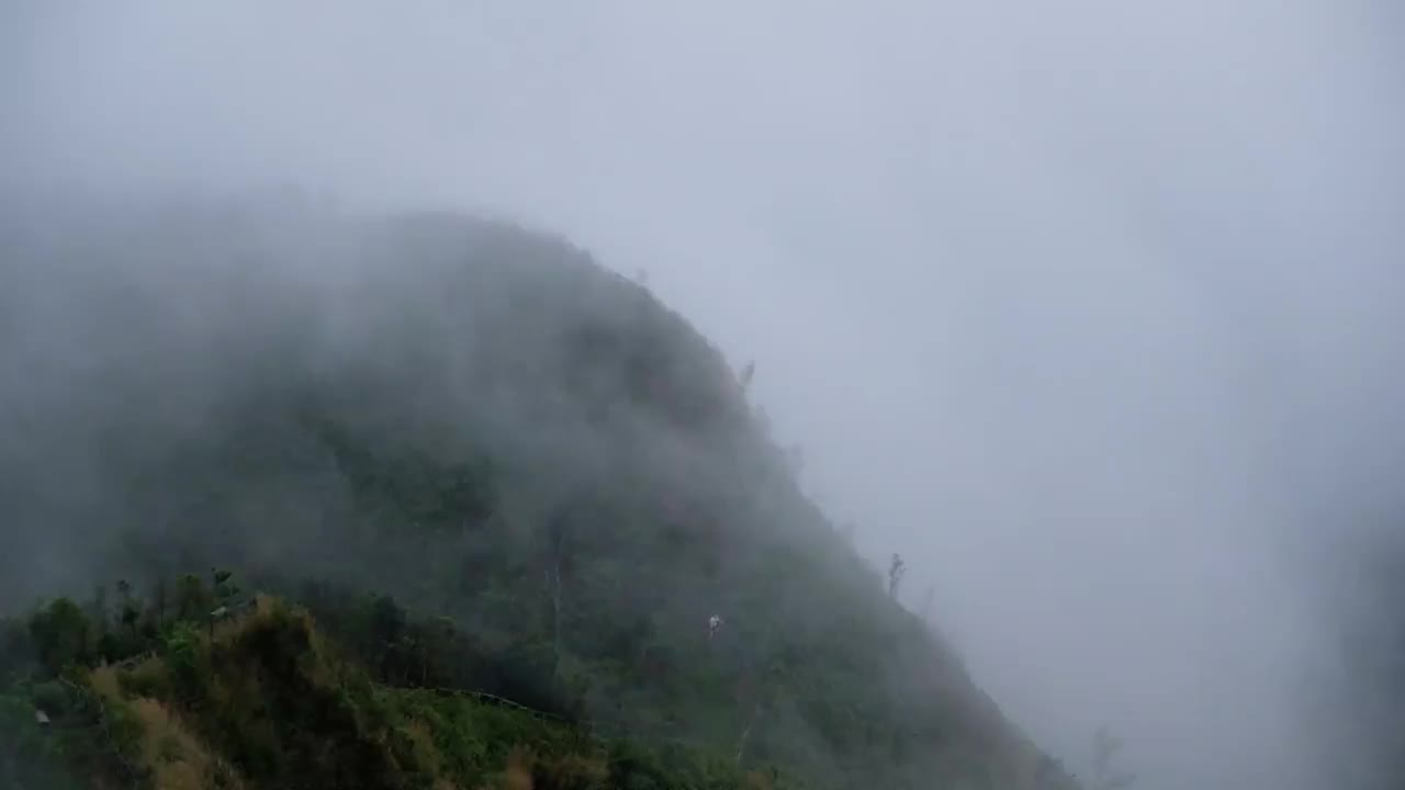 慢动作景观景观的绿色雨林山在雾天视频素材