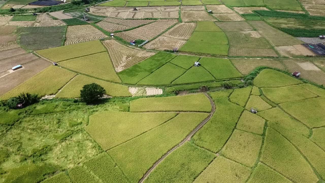 泰国南省普阿区的稻田航拍画面。视频素材