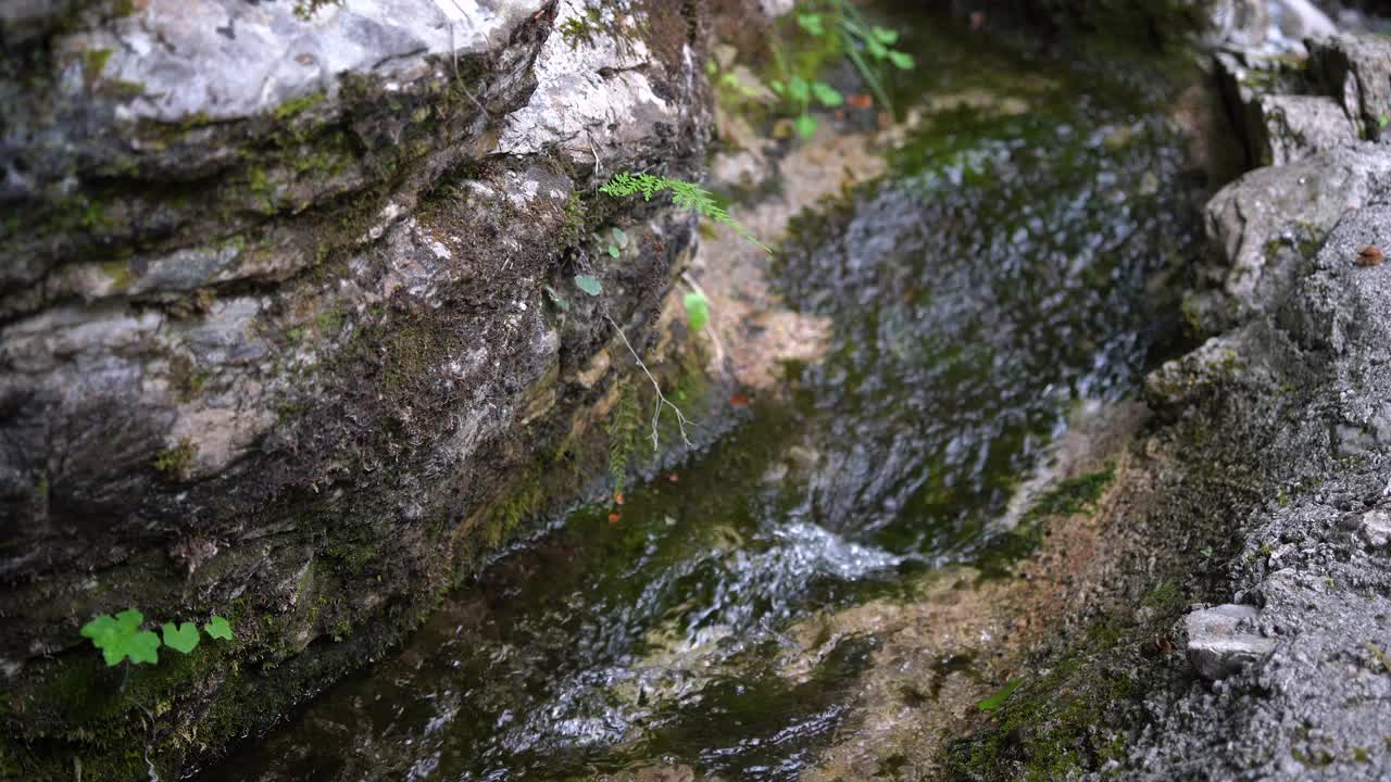 一条小溪，水流湍急，在覆盖着苔藓的岩石间流动。视频下载