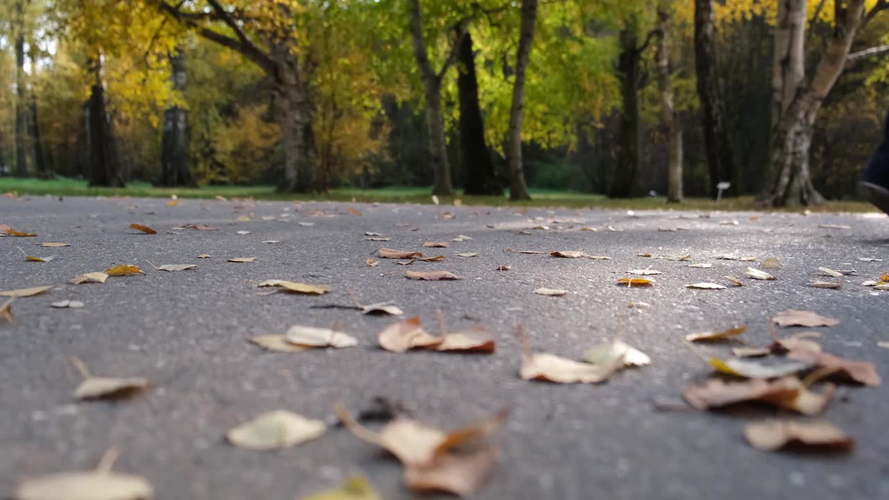 风在柏油路上追逐翻滚着落叶。干燥的后代在地面上盘旋。秋日的阳光照在树枝上。两辆摩托车的轮子一个接一个地前进视频下载