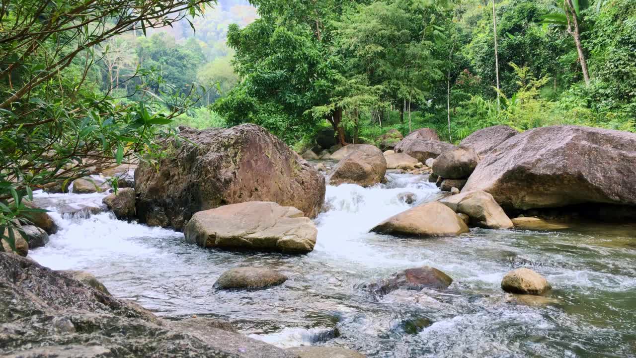 河石树用云天彩，观水河树视频素材