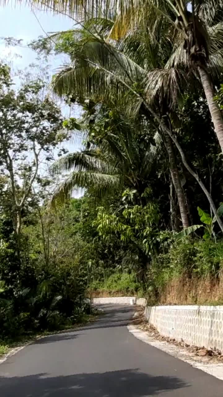 村庄的道路。视频下载