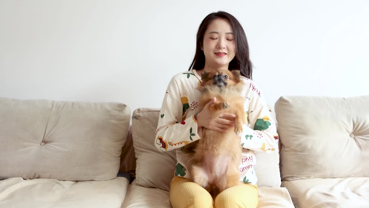 一位年轻的美女正在沙发上和一只博美犬玩耍视频素材