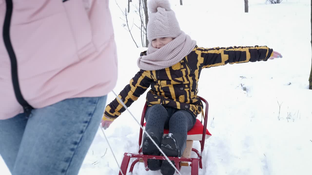 一家人在雪橇上行走。视频素材