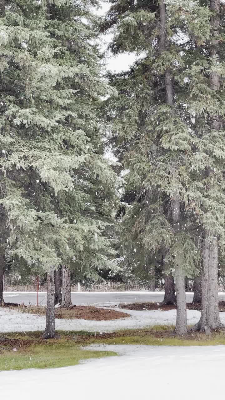 阿拉斯加在十月初下雪视频下载