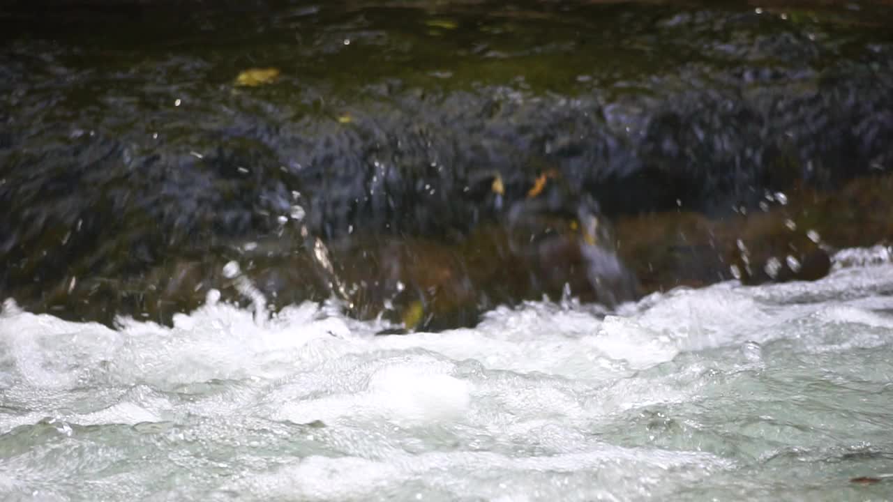 慢动作特写的急流，迅速流动的泉水与一些秋天五颜六色的叶子在水中。灰色的大石，秋天的落叶。瀑布在下降。大自然的风景视频素材