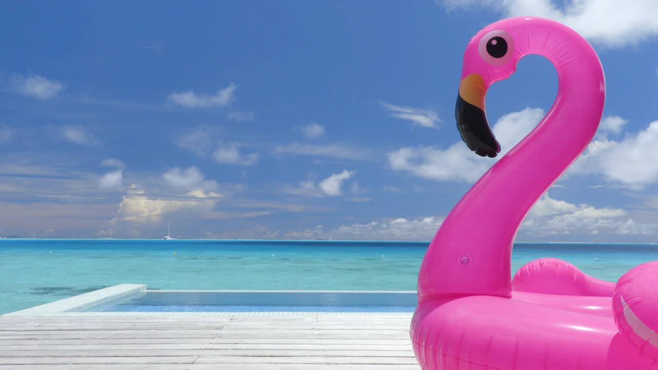 无缝循环视频:泳池海滩度假概念与粉红色火烈鸟充气漂浮玩具床垫豪华游泳池。豪华生活方式暑假旅行背景视频。视频素材