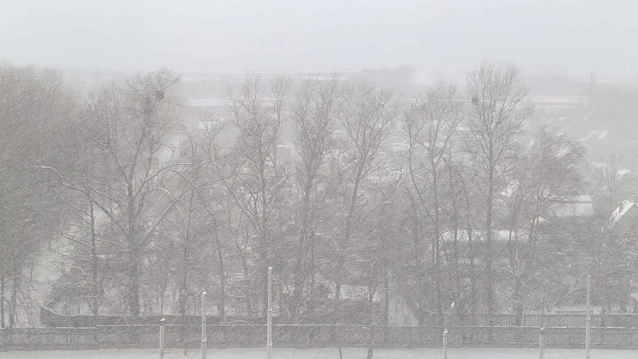 在冬天树木的映衬下，城市里大雪纷飞。文本复制空间视频素材